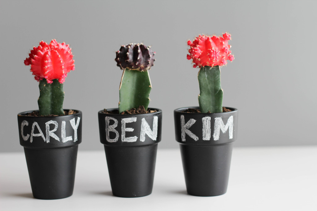 DIY Cactus and Chalk Place Cards-3