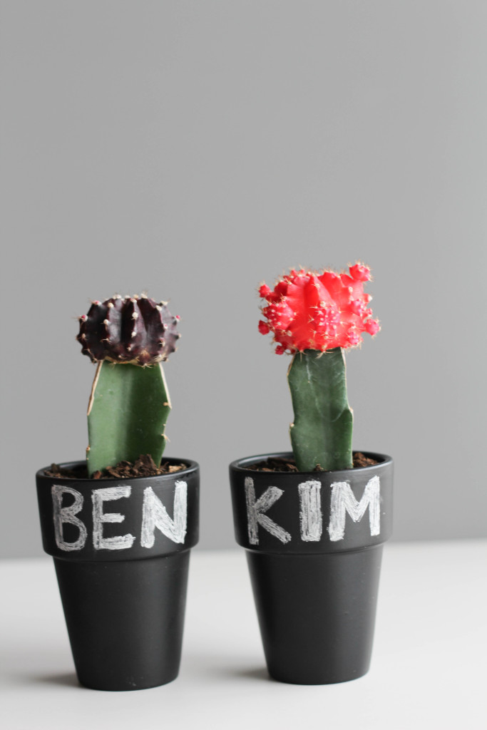 DIY Cactus and Chalk Place Cards-4