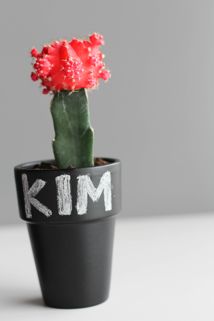 DIY Cactus and Chalk Place Cards-6