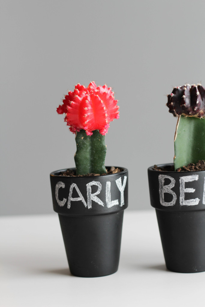 DIY Cactus and Chalk Place Cards-7