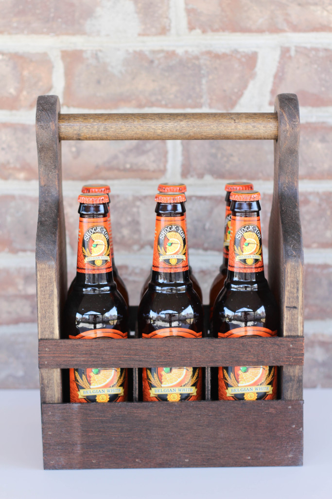 DIY Beer Carrier