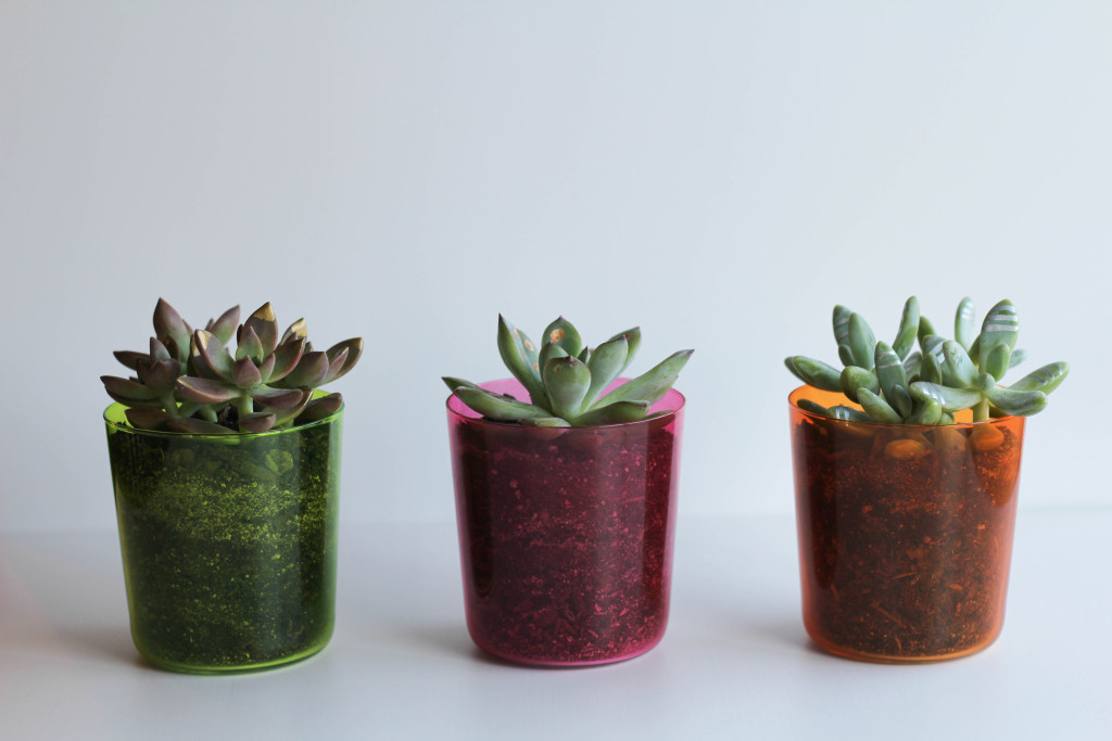 DIY Gilded Succulents