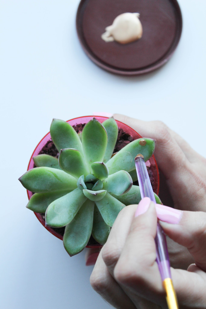 DIY Gilded Succulents