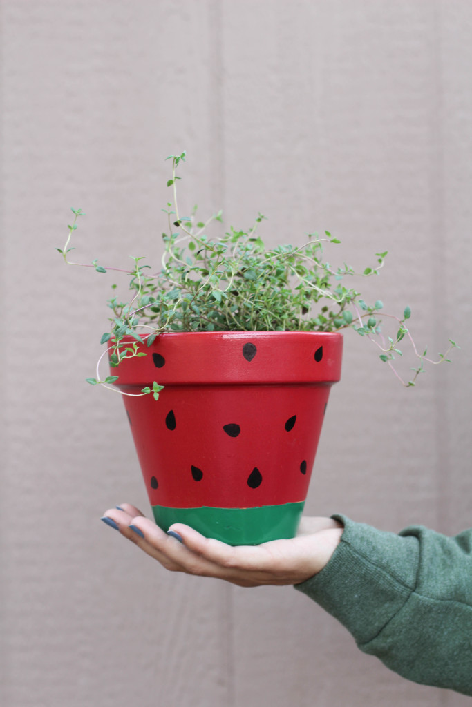 DIY Fruit Planters