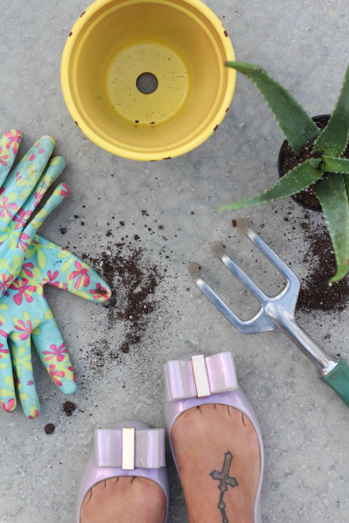 DIY Fruit Planters