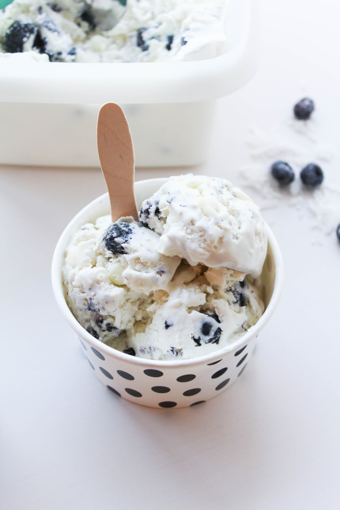 Blueberry Ice Cream