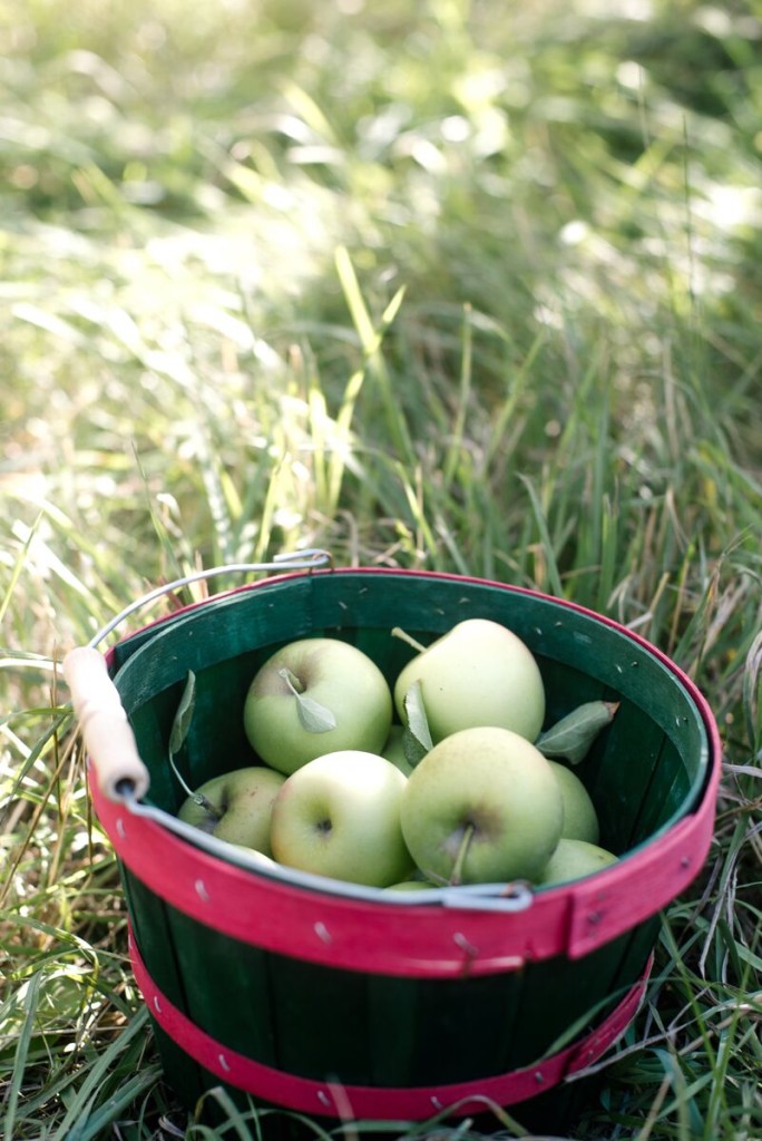 Homemade Apple Cider Recipe