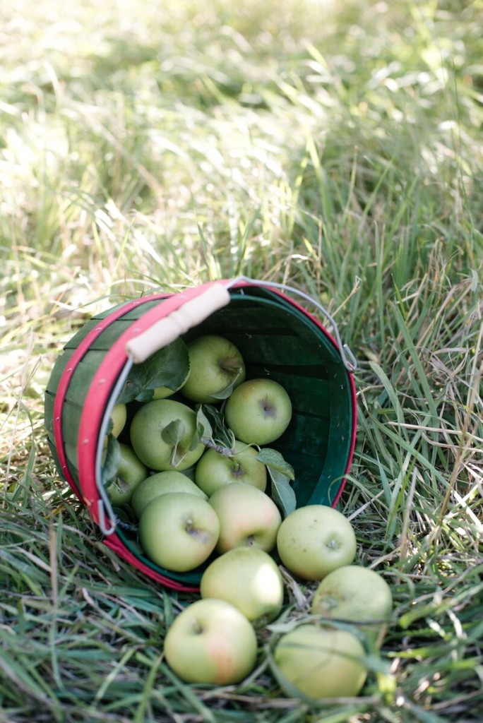 Homemade Apple Cider Recipe