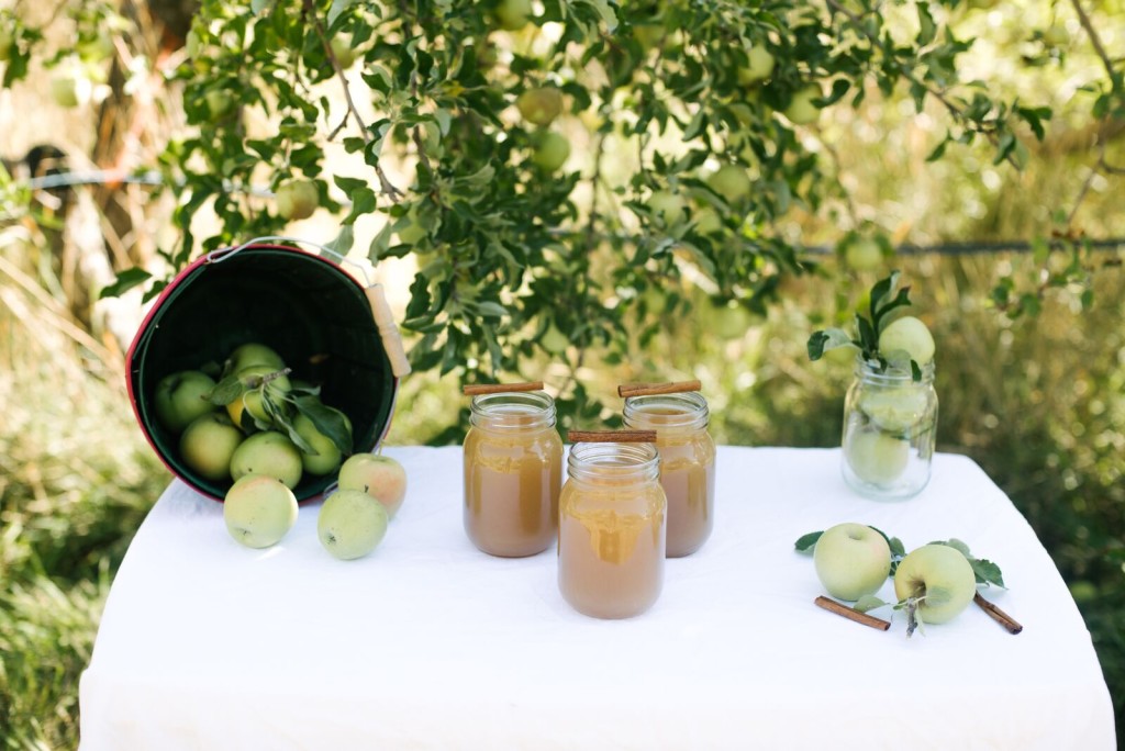 Homemade Apple Cider Recipe