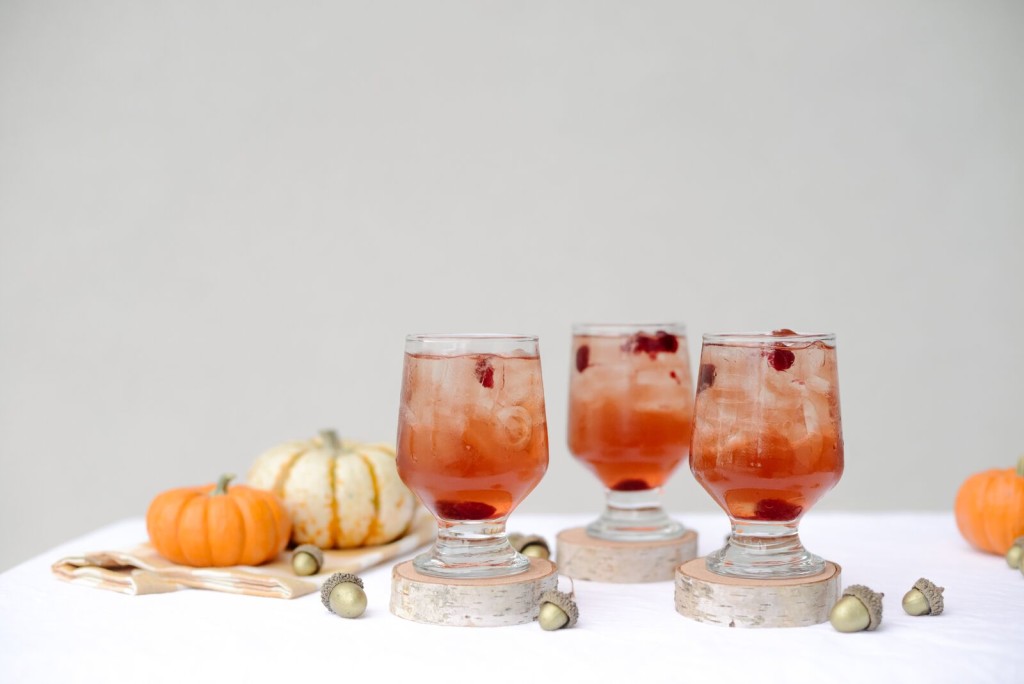 Cranberry Splash Cocktail