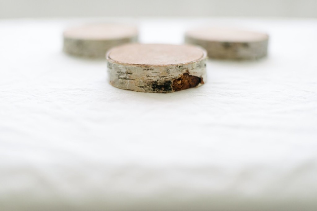 DIY Metallic Birch Coasters