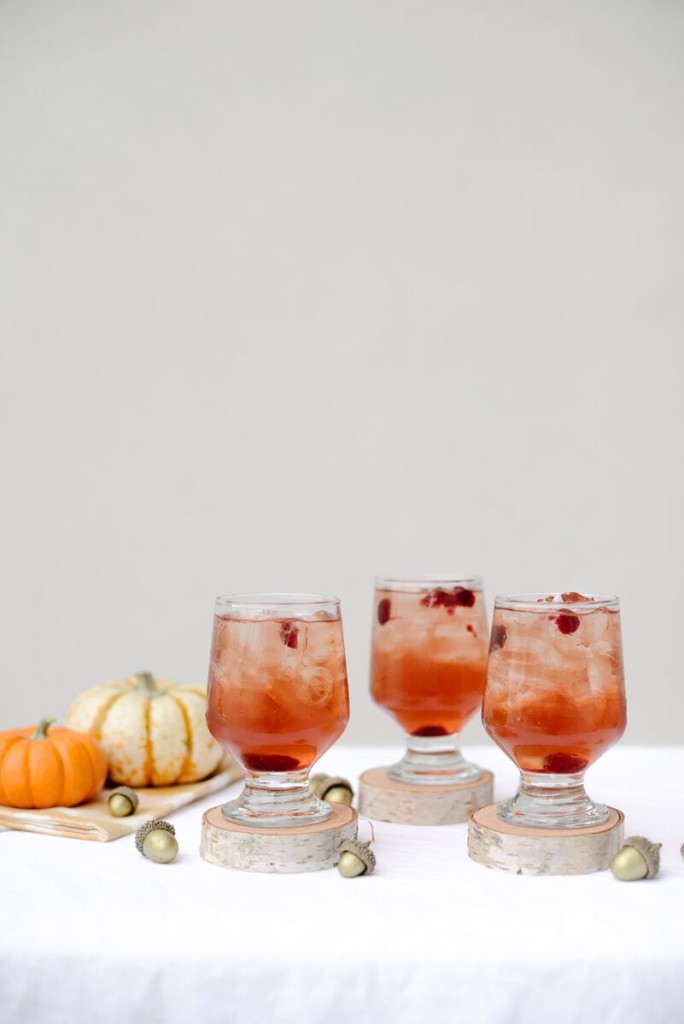 Cranberry Splash Cocktail