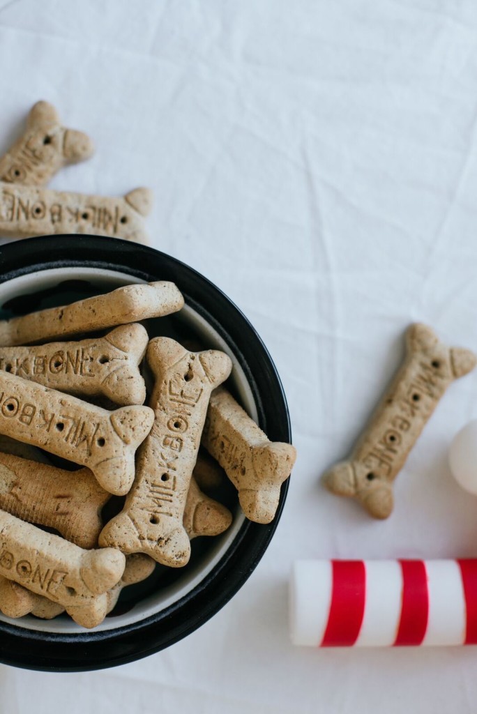 Dog Bone Gift Wrapping