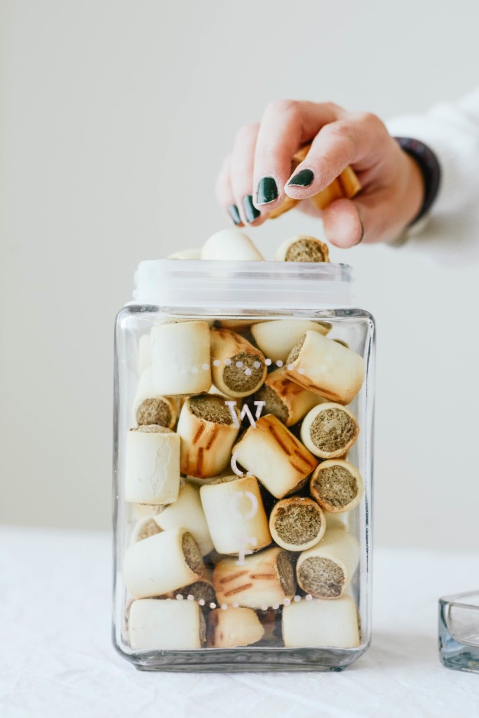 Glass Etched Pet Treat Jars