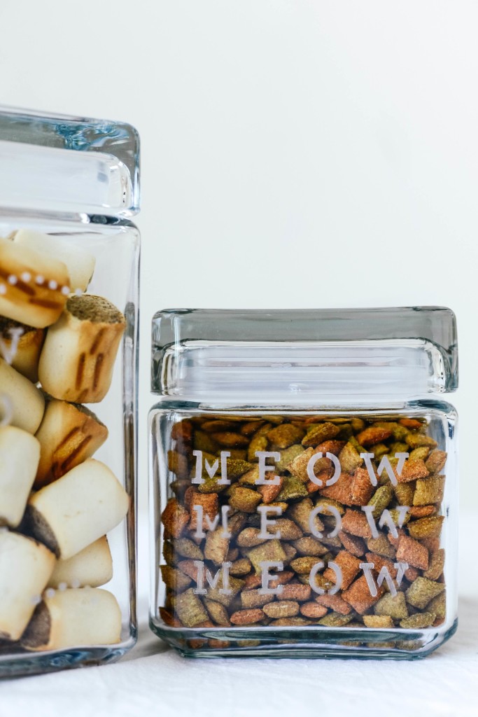 Glass Etched Pet Treat Jars