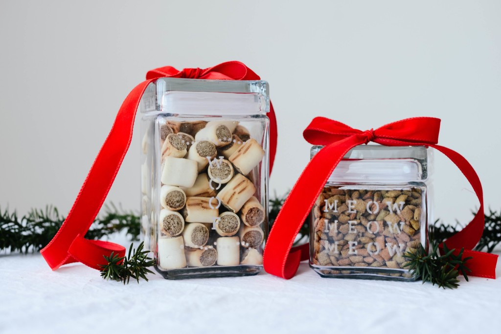 Glass Etched Pet Treat Jars