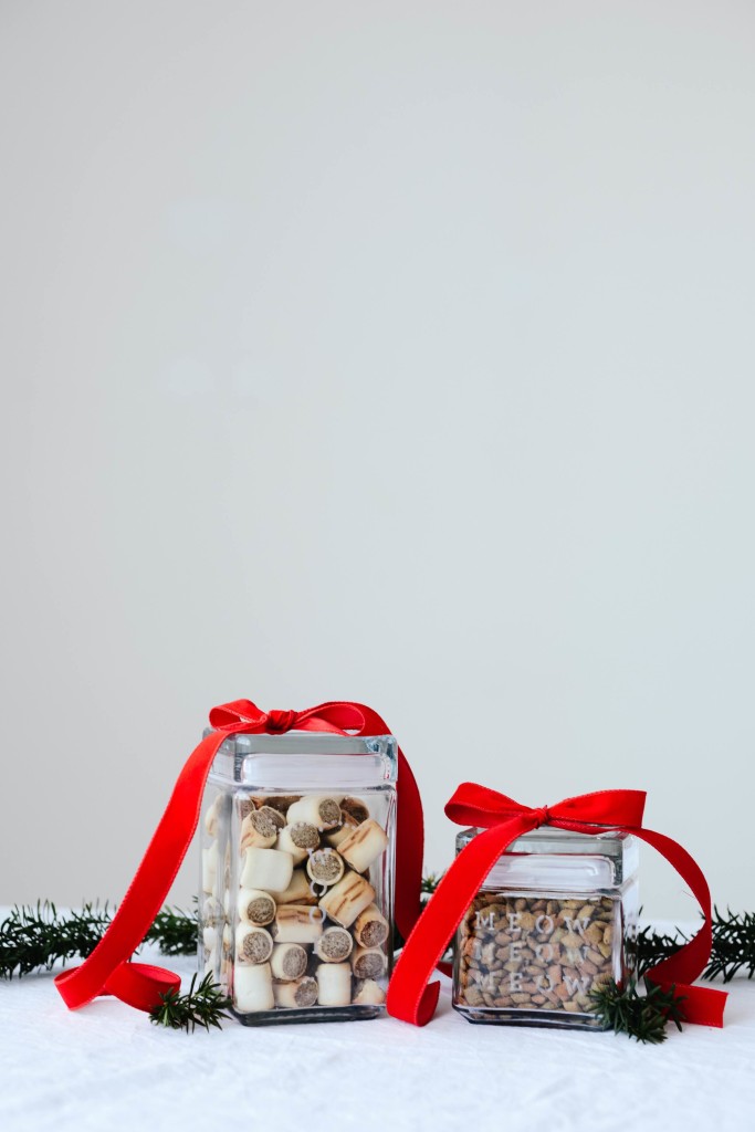 Glass Etched Pet Treat Jars