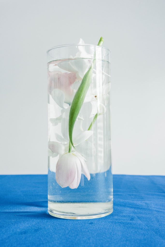 DIY Submerged Centerpieces