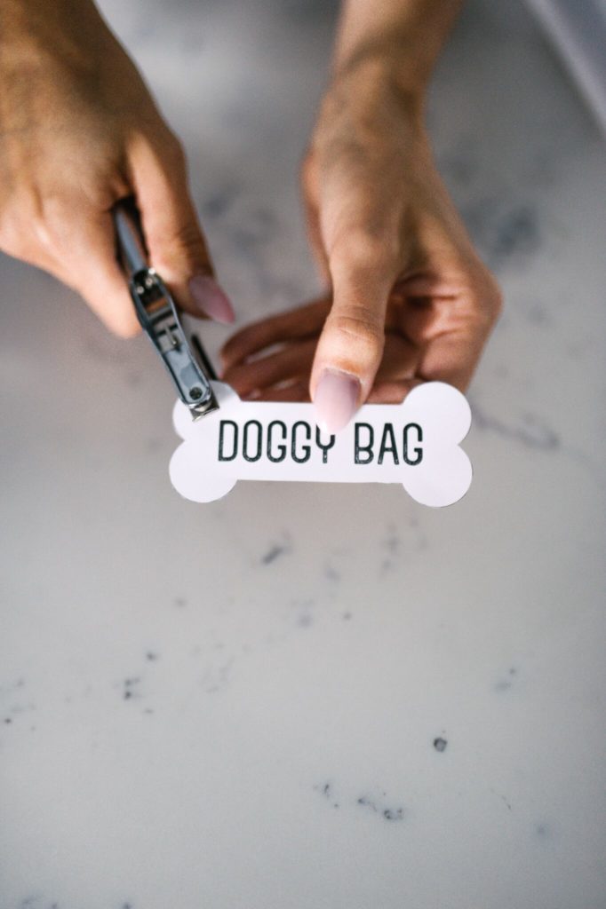 Printable Dog Gift Tags