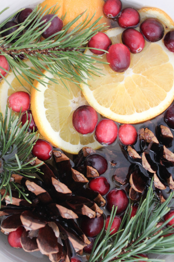 Stove Top Holiday Potpourri