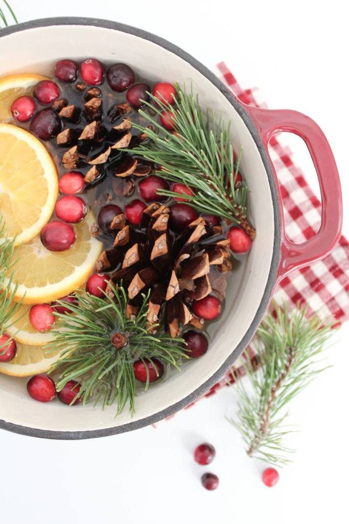 Stove Top Holiday Potpourri