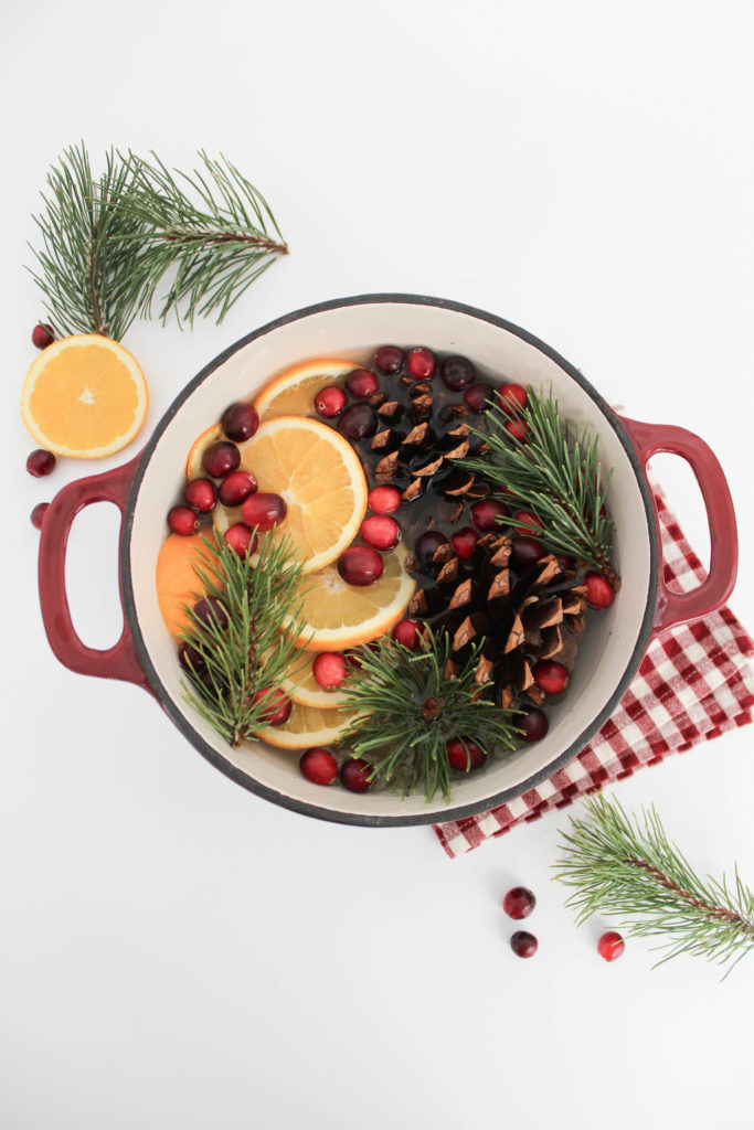 Stove Top Holiday Potpourri