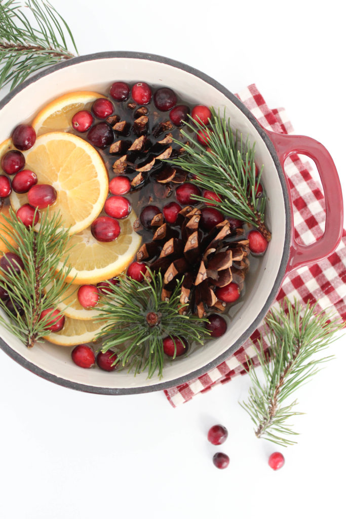 Stove Top Holiday Potpourri