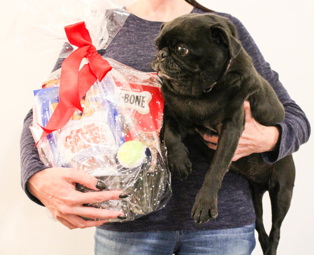 Dog Holiday Gift Basket