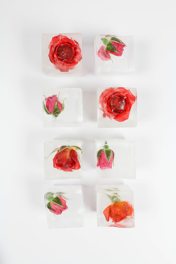 Rose Ice Cubes