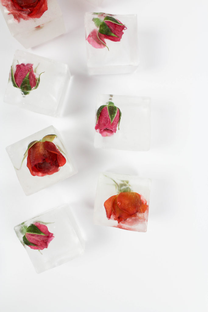 Rose Ice Cubes