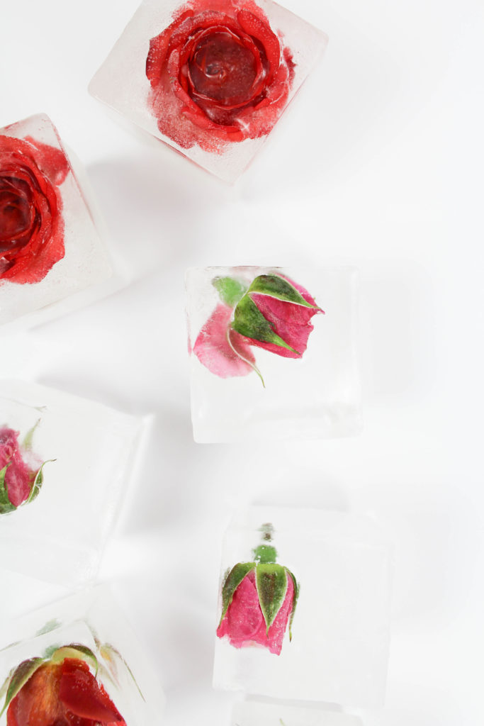 Rose Ice Cubes