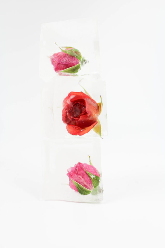 Rose Ice Cubes