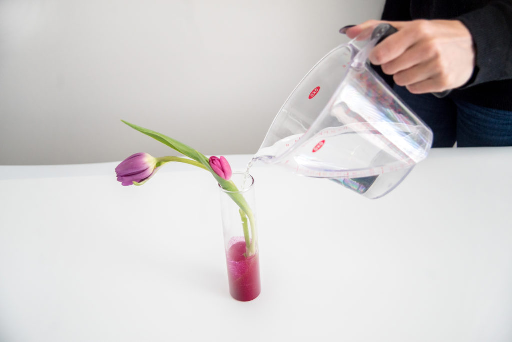 DIY Ombre Bud Vases