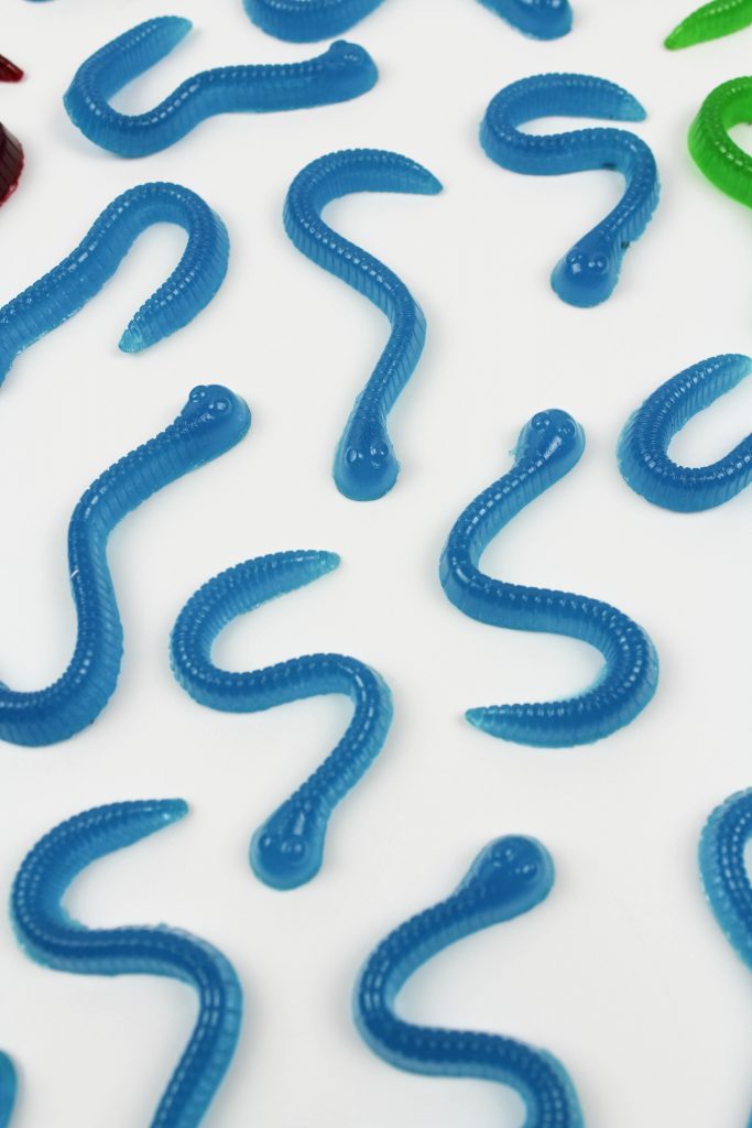 DIY Homemade Gummy Worms