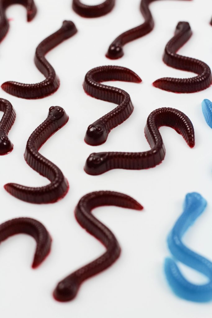 DIY Homemade Gummy Worms