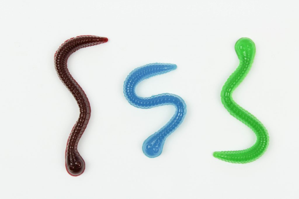 DIY Homemade Gummy Worms