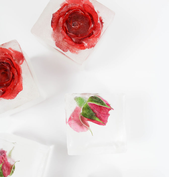 Rose-Ice-Cubes