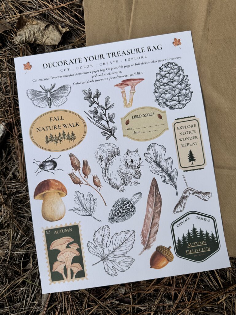 Printable DIY nature treasure bag decorations featuring vintage botanical illustrations, a squirrel, acorns, leaves, mushrooms, and autumn-themed labels.