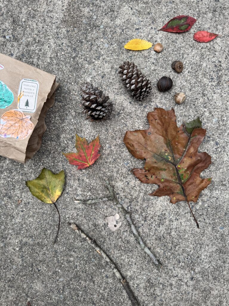 A collection of fallen autumn leaves, pinecones, acorns, nuts, and small twigs arranged on pavement beside a decorated brown paper treasure bag.